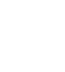 International Telecommunication Union
