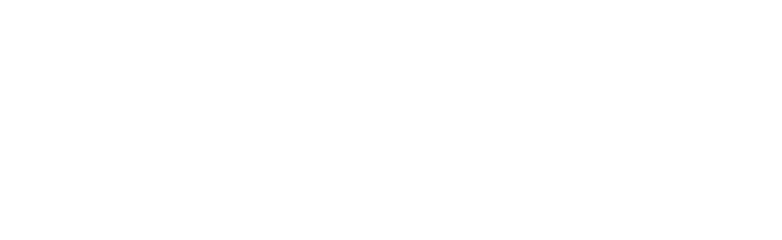 Swiss International Academy